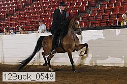 12buck_0548 proof