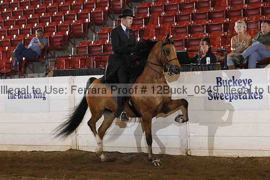 Proof 12buck_0549