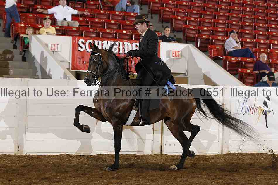 Proof 12buck_0551