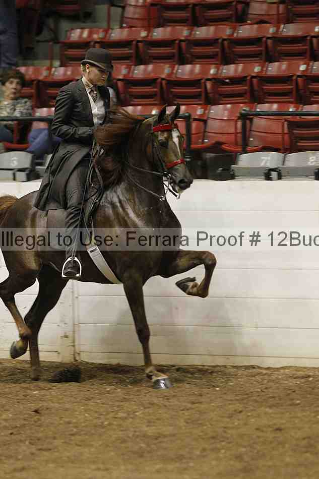 Proof 12buck_0552