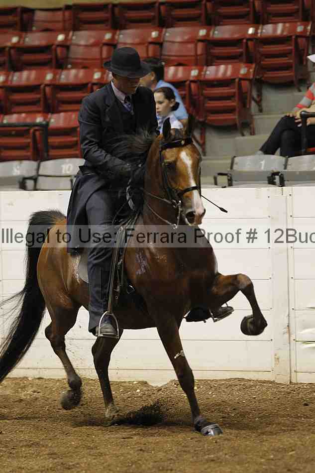 Proof 12buck_0554