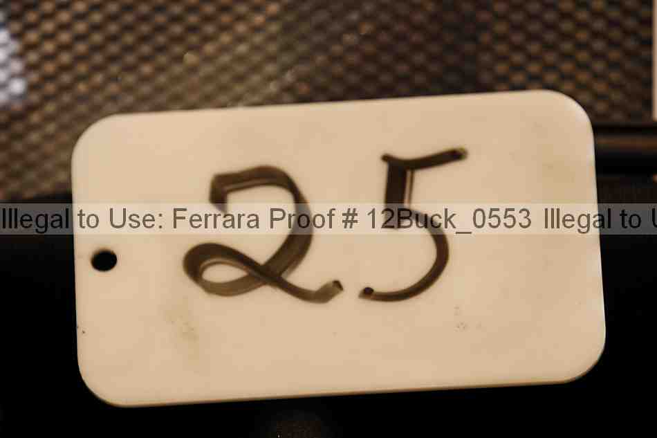 Proof 12buck_0553