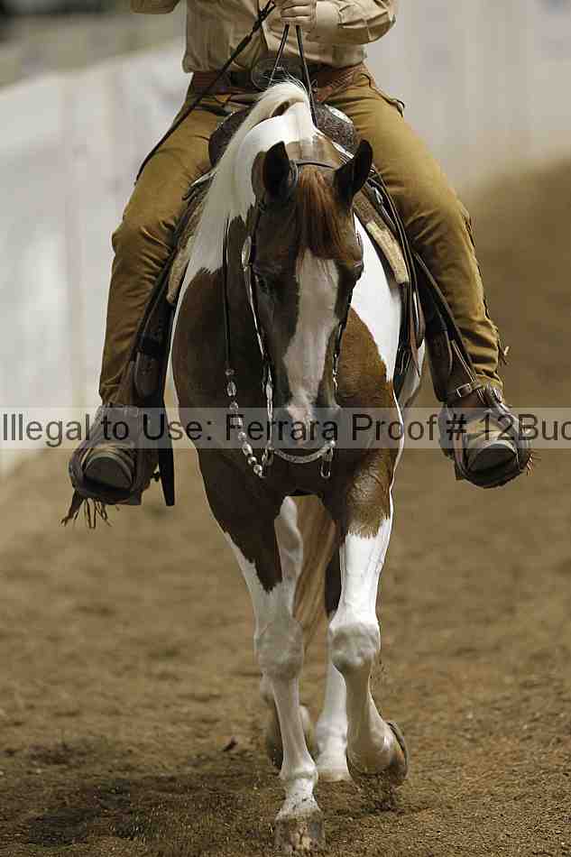 Proof 12buck_0558