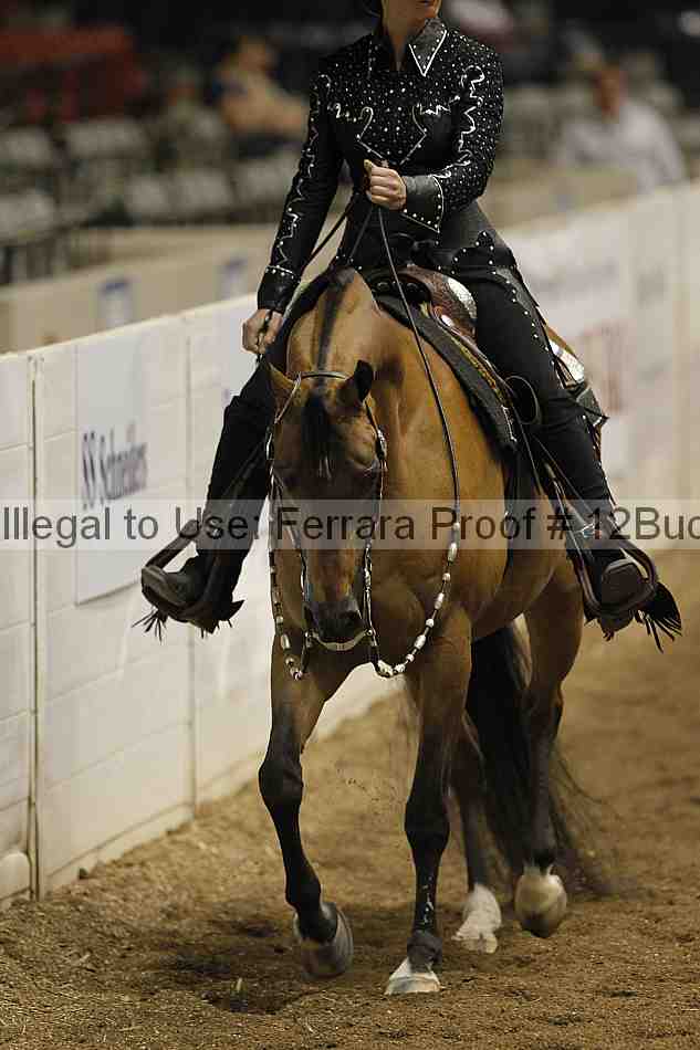 Proof 12buck_0563