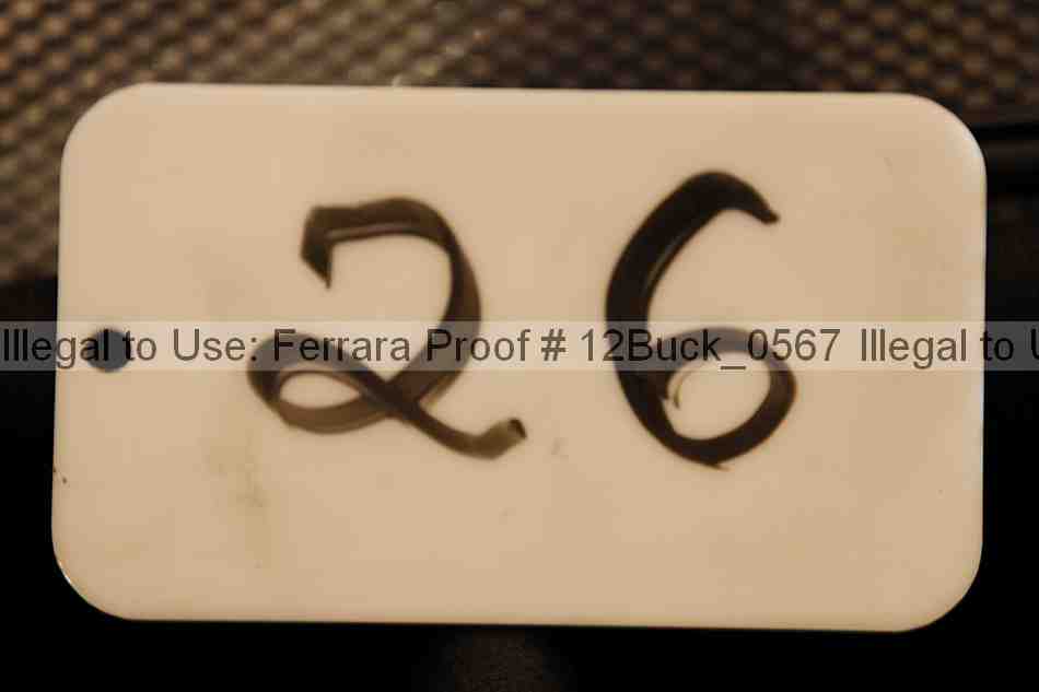 Proof 12buck_0567