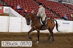 12buck_0570 proof