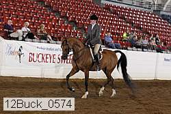 12buck_0574 proof