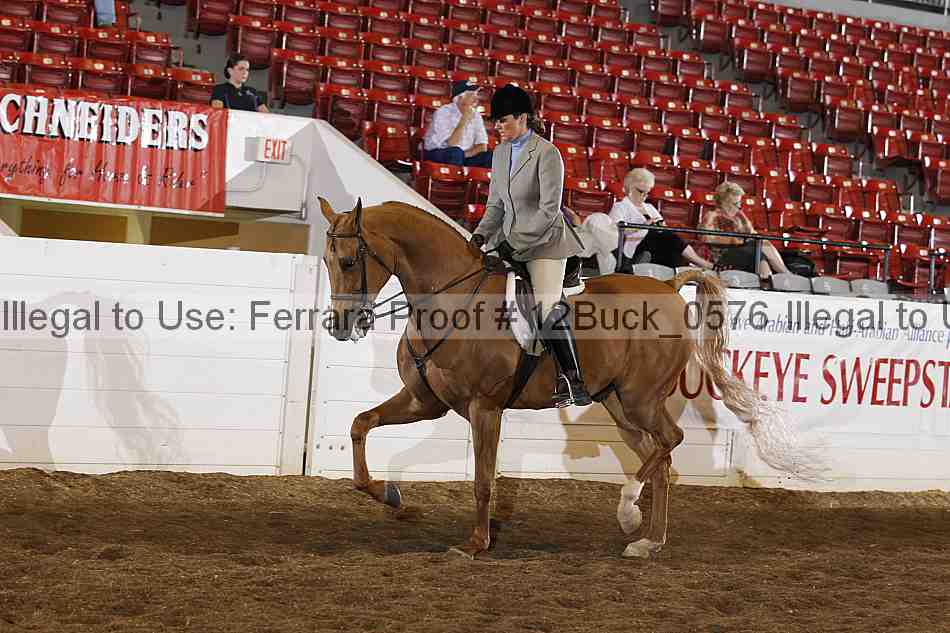 Proof 12buck_0576