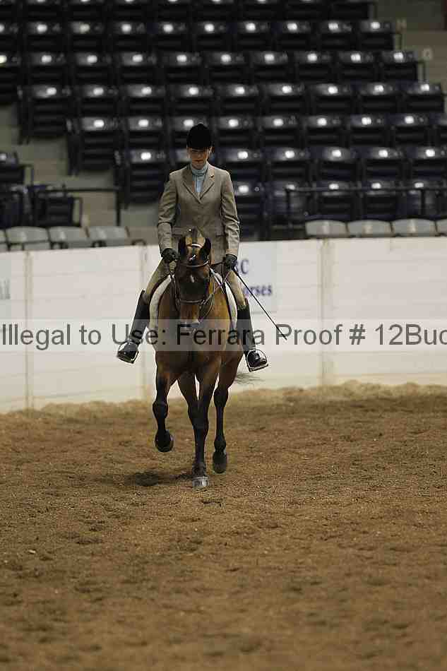 Proof 12buck_0580