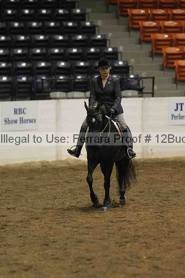Proof 12buck_0582