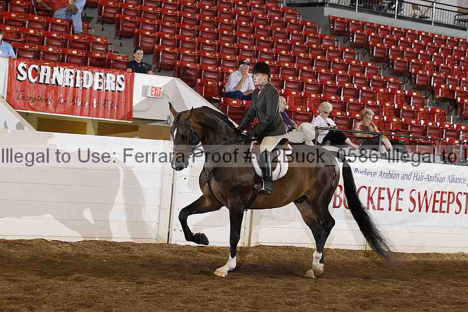 Proof 12buck_0586