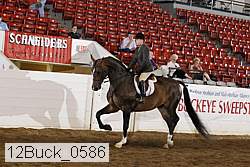 12buck_0586 proof