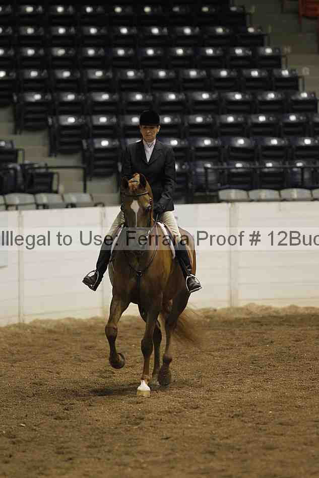Proof 12buck_0588