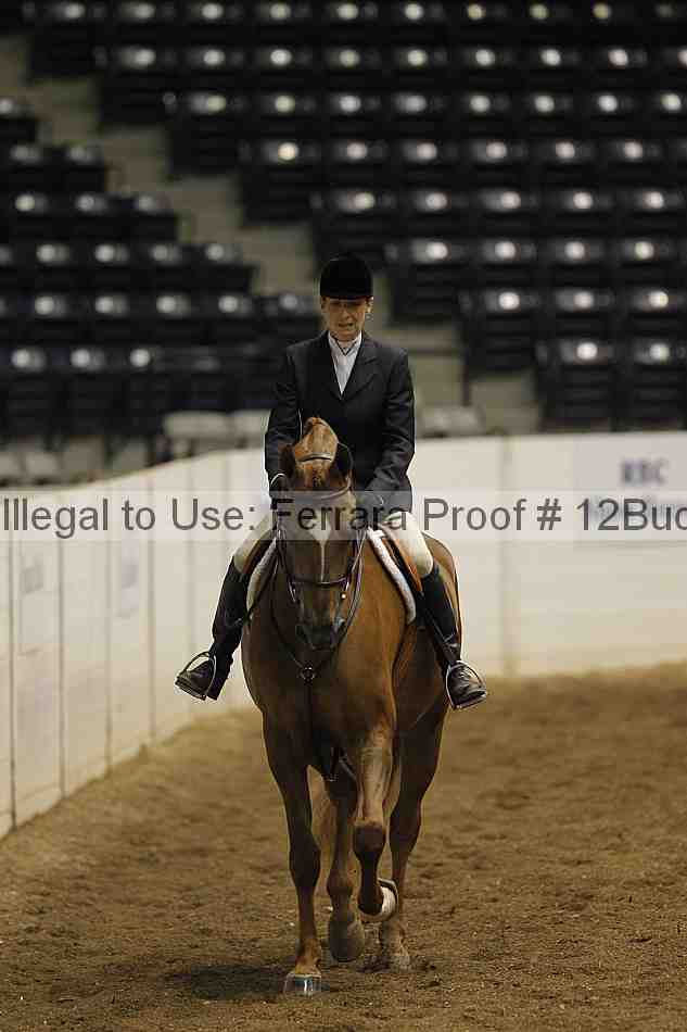Proof 12buck_0589