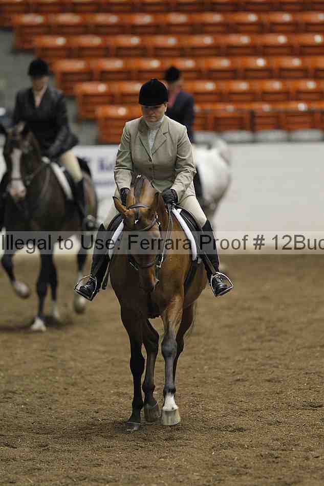 Proof 12buck_0593