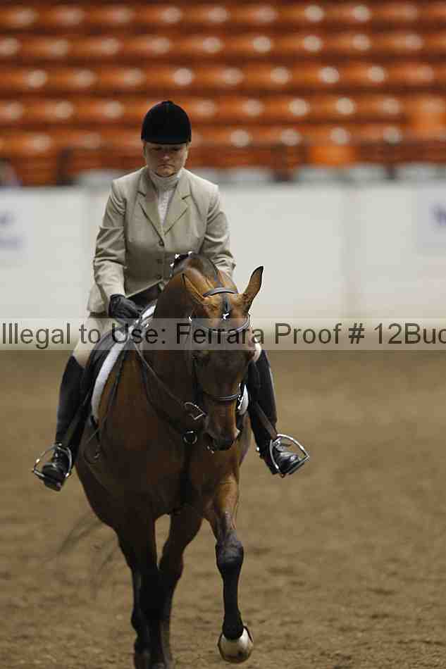 Proof 12buck_0595