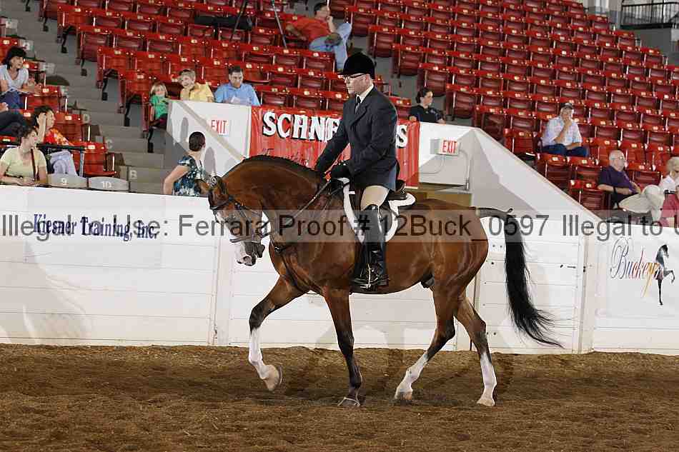 Proof 12buck_0597