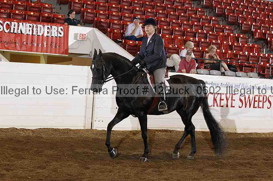 Proof 12buck_0602