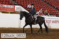 12buck_0602 proof