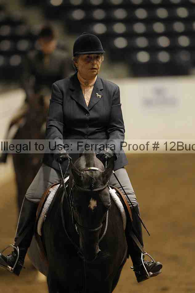 Proof 12buck_0603