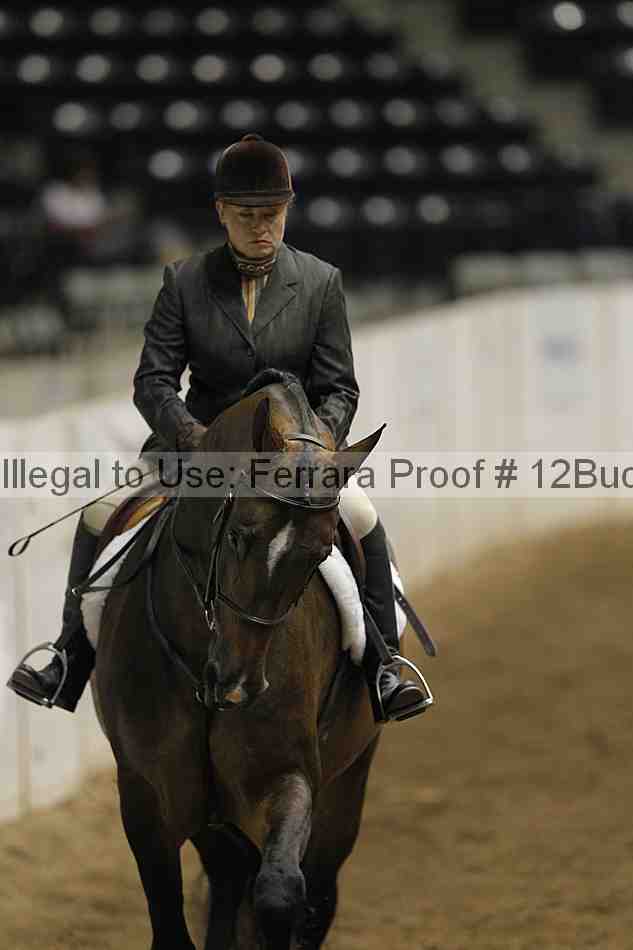 Proof 12buck_0604