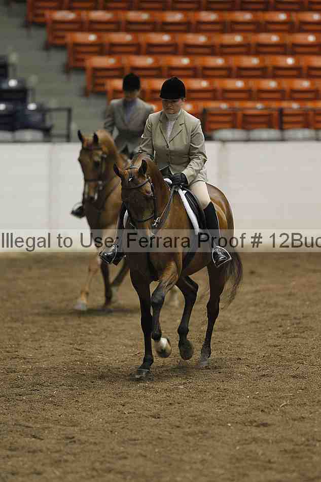 Proof 12buck_0606