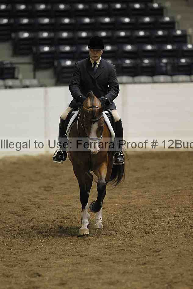 Proof 12buck_0609