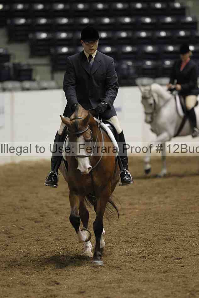 Proof 12buck_0610