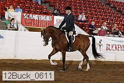 12buck_0611 proof