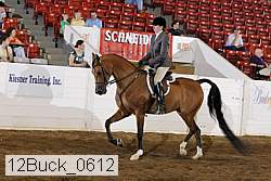 12buck_0612 proof