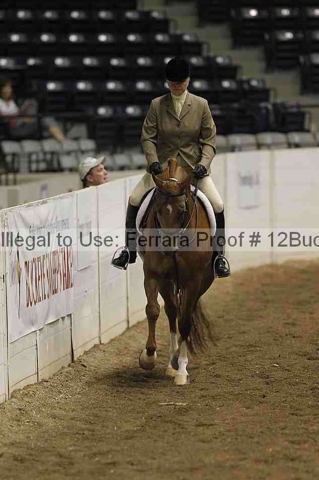 Proof 12buck_0615