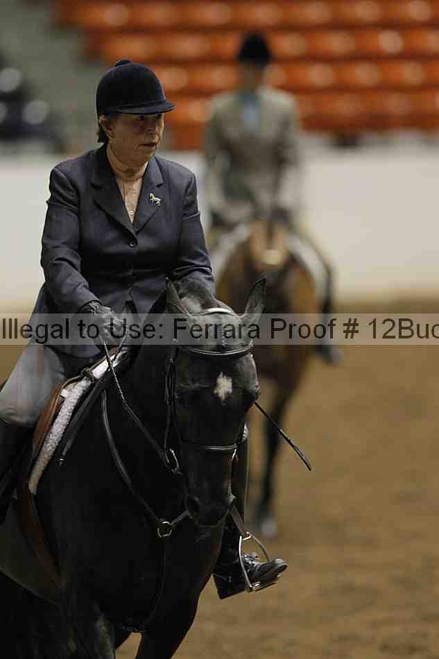 Proof 12buck_0617