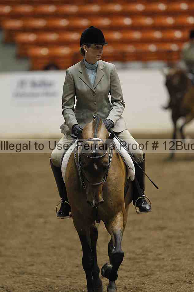 Proof 12buck_0618