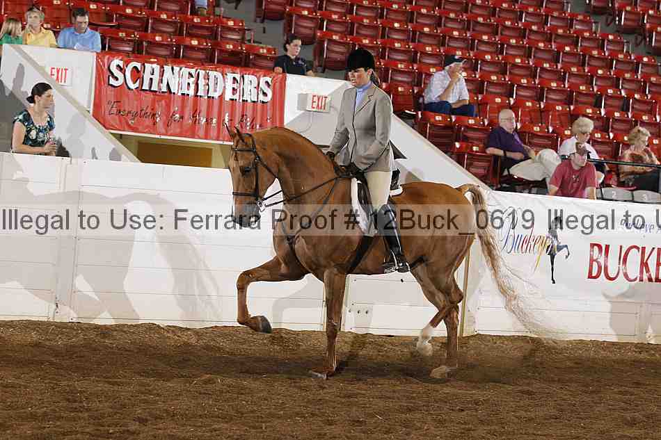 Proof 12buck_0619