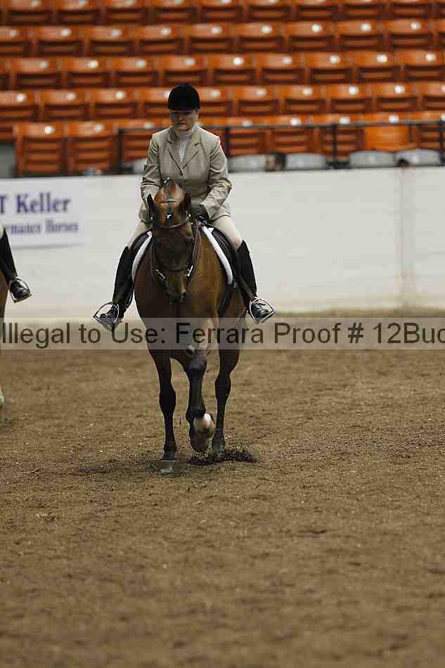 Proof 12buck_0620