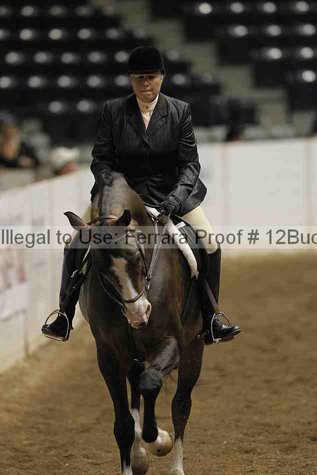 Proof 12buck_0623