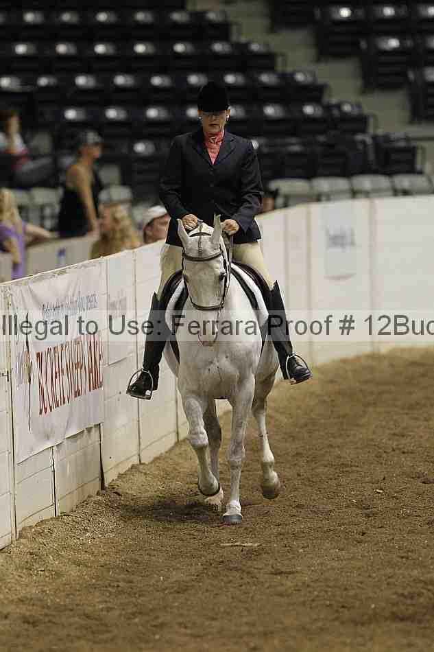 Proof 12buck_0628