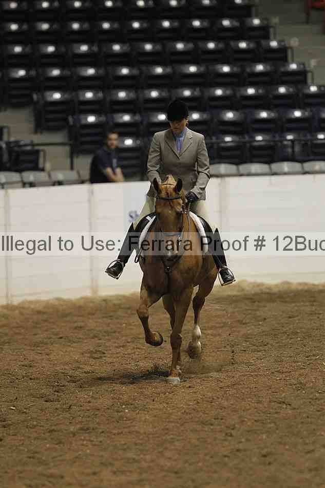 Proof 12buck_0630