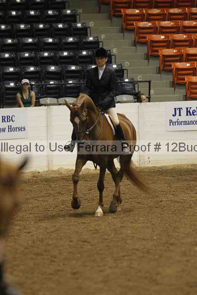 Proof 12buck_0632