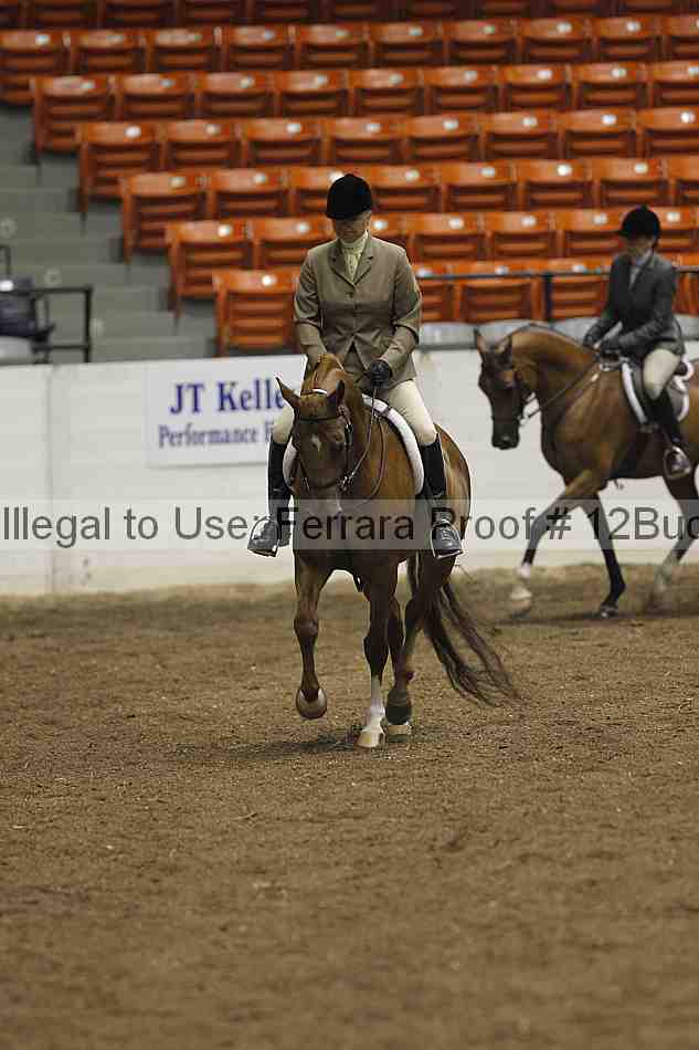 Proof 12buck_0634