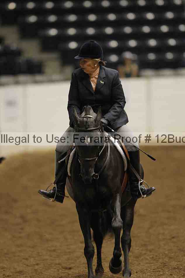 Proof 12buck_0635