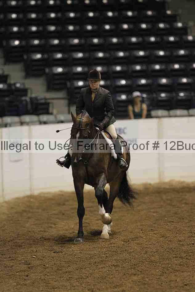 Proof 12buck_0640