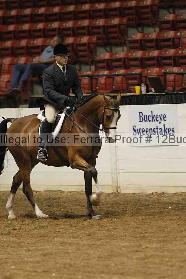 Proof 12buck_0643