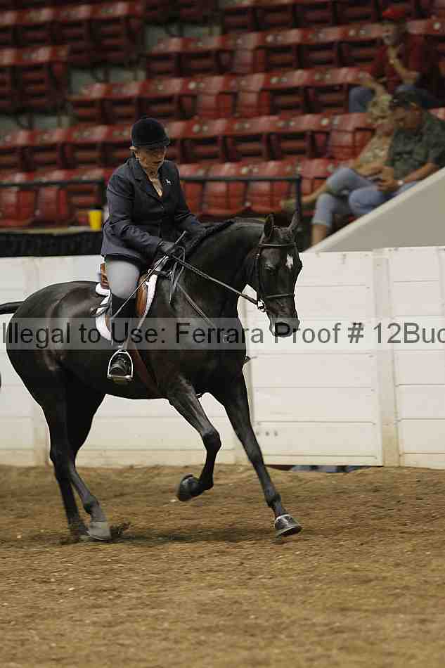 Proof 12buck_0645