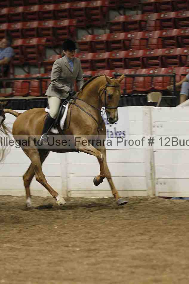 Proof 12buck_0646