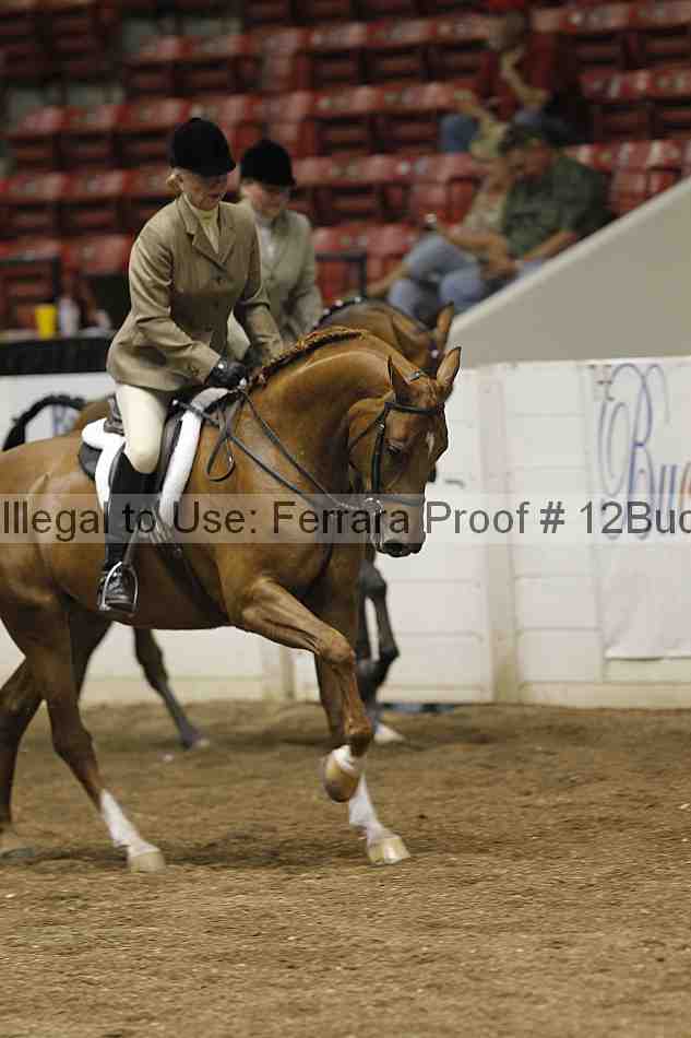 Proof 12buck_0647