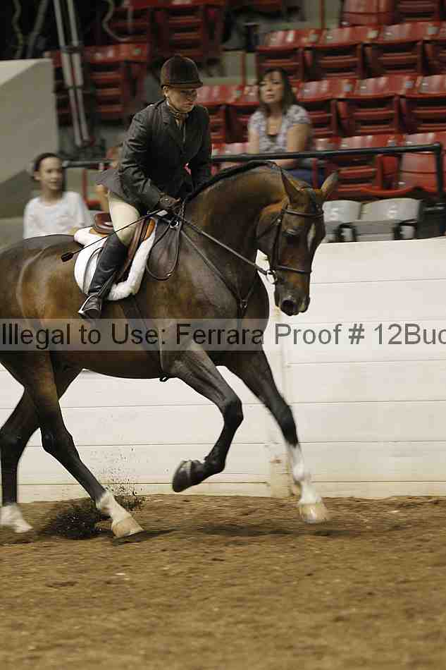 Proof 12buck_0648