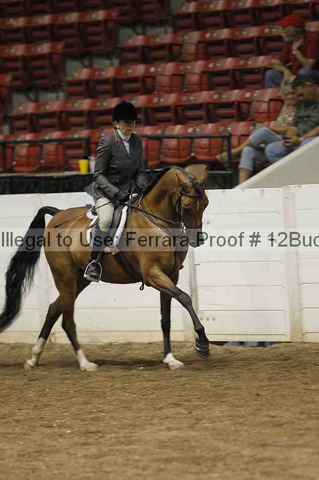 Proof 12buck_0651
