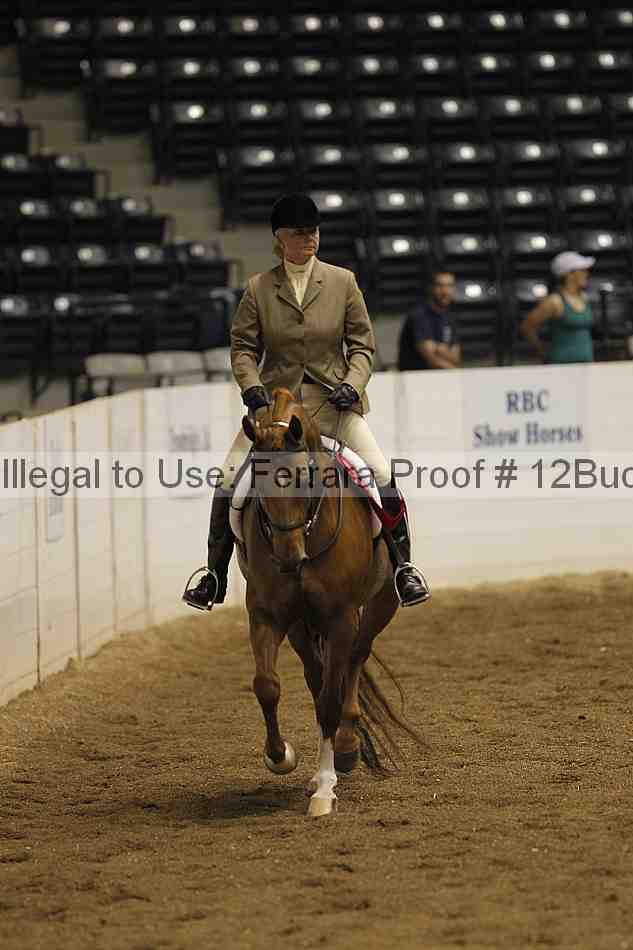 Proof 12buck_0653