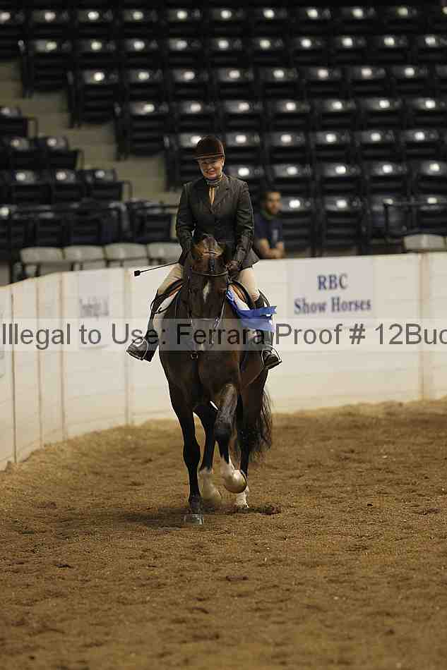Proof 12buck_0654
